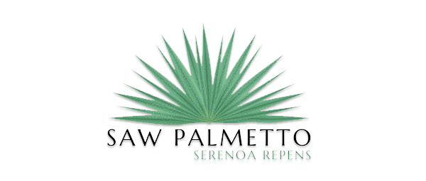 saw-palmetto